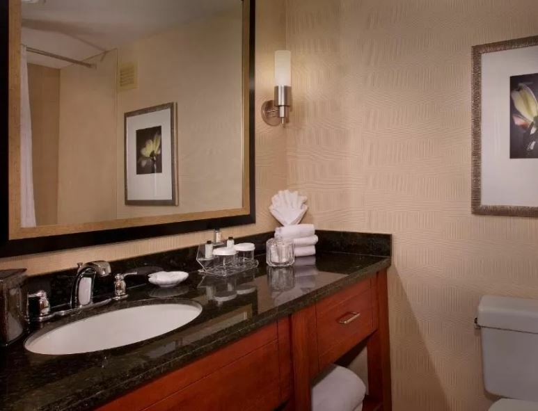 Embassy By Hilton Airport Hotel 4*